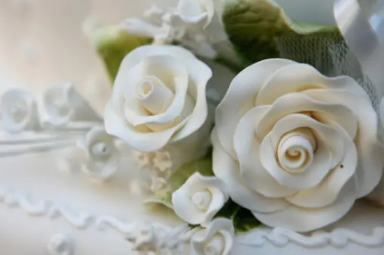 白玫瑰的花语是纯洁的爱,花朵姿态优雅花色干净,适合用在神圣的不可