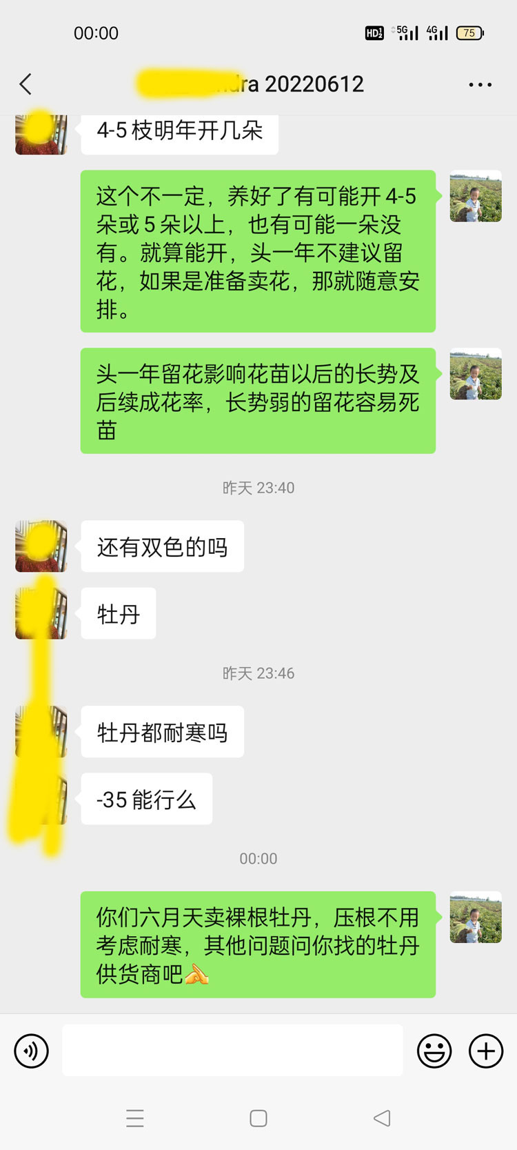 牡丹六月份移栽？考虑牡丹是否耐寒多余！